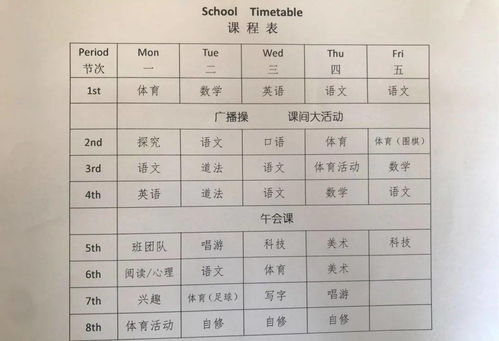 小学体育器材借出登记记录