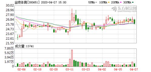 金陵体育龙头股票代码