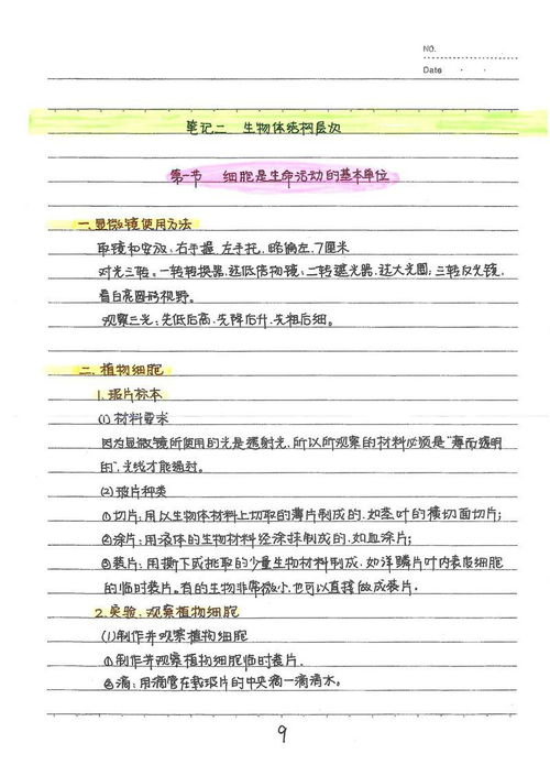 理想的体育课300字