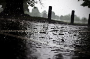 近日，广东梅州多地连续降雨引发洪水，给当地带来了严重的灾害。据现场实拍视频显示，洪水已经淹没了多个村庄和道路，给当地造成了巨大的损失。