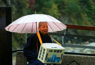 景区检票员持刀冲向游客已被开除